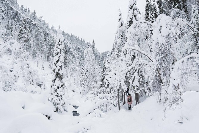 Frozen Waterfalls of Korouoma Canyon tour with Pro Photos & BBQ - The hike through Korouoma Canyon, where the challenge comes from