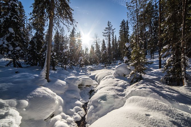 Frozen Waterfalls of Korouoma Canyon tour with Pro Photos & BBQ - Waterfall stops and why you might not reach every one