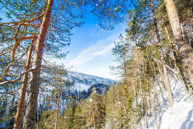 Frozen Waterfalls of Korouoma Canyon tour with Pro Photos & BBQ - The viewpoint at the top, getting height without wasting time