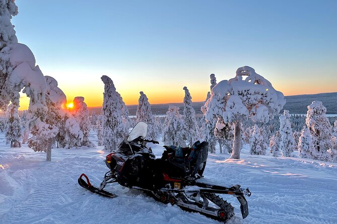 Full Day Activity with Snowmobiles in Rovaniemi - Key highlights