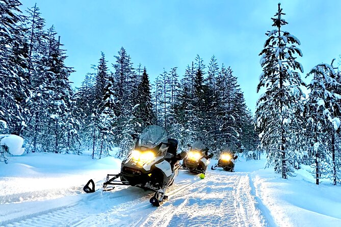 Full Day Activity with Snowmobiles in Rovaniemi - What this day feels like in practice, not just on paper