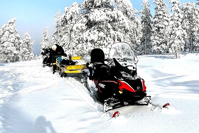 Full Day Activity with Snowmobiles in Rovaniemi - Price and value: why this bundle can be worth it