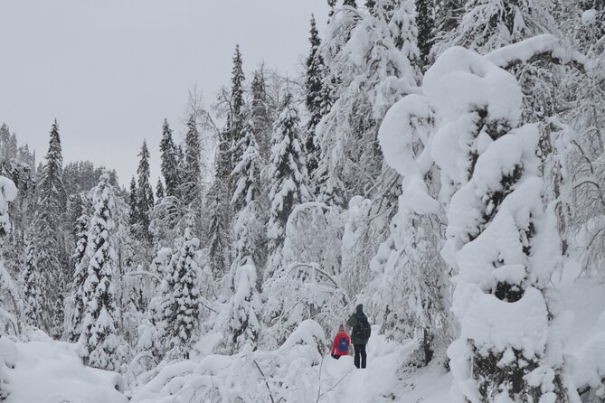 Full Day Hiking to Korouoma Canyon & Frozen Waterfalls - Weather Reality Check: Why This Trip Needs Good Conditions
