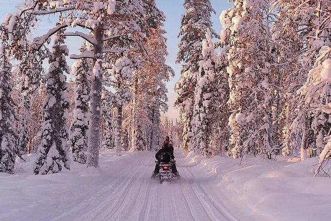 Full Day Snowmobile Safari - Guides, Group Size, and the Human Touch That Makes It Worth It