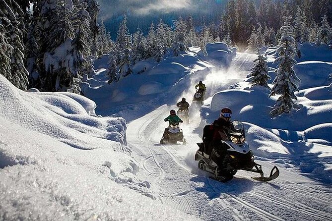 Full Day Snowmobile Safari - FAQ