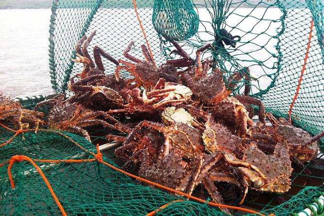 Full-Day Trip: King Crab Safari to Norway from Saariselkä Including Lunch - Snowmobile sledge rides and the pacing of the fjord segment