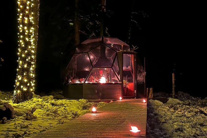 Glass Igloo Campfire Dinner under Northern Lights - Northern Lights Expectations: Enjoy the Sky, But Keep It Real