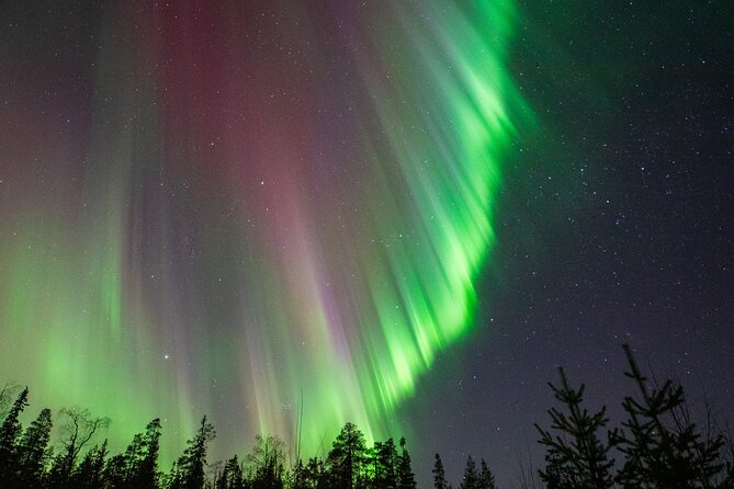 Go on a Northern Lights Photography Tour - Small Group by minivan - The guide factor: when effort shows