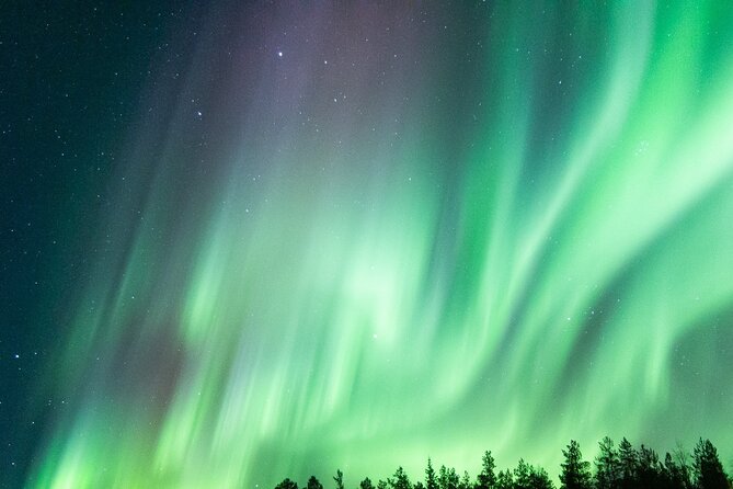 Guaranteed Aurora Hunting Tour from Rovaniemi with Local Guide - Guide style and the fine line between info and quiet