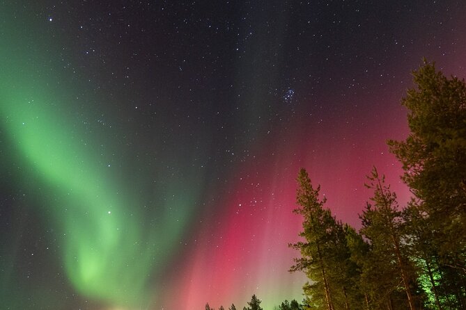 Guaranteed Aurora Hunting Tour from Rovaniemi with Local Guide - Price and value at about $191.88 per person