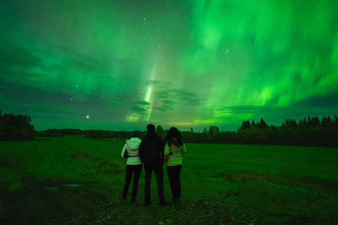 Guaranteed Northern Lights Group Tour with Photos - Group size, guide attention, and what it means for your night