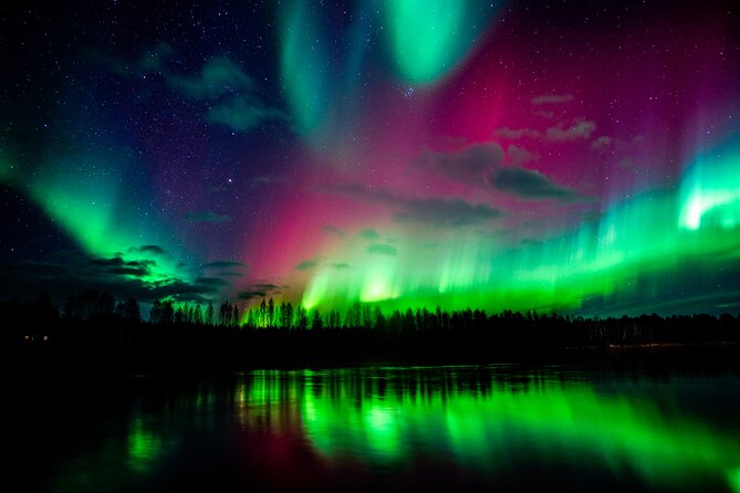 Guaranteed Northern Lights Hunting Adventure in Lapland - Stops, hot drinks, and why the guide’s camera support is a big deal