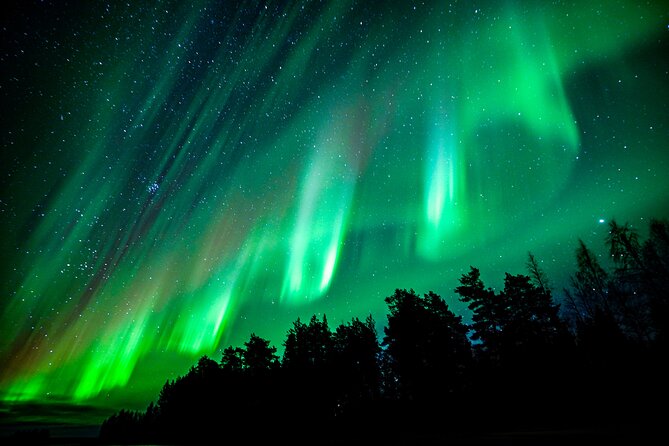 Guaranteed Northern Lights Hunting Adventure in Lapland - Northern Lights odds, and what you get back if the sky does not cooperate