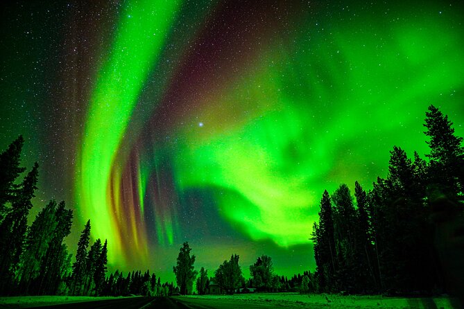 Guaranteed Northern Lights Hunting Adventure in Lapland - Practical tips to get the most out of the hunt