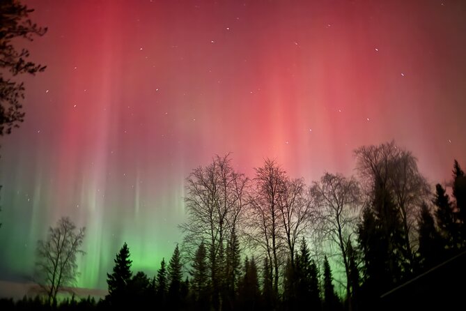 Guaranteed Northern Lights Tour in Rovaniemi - The Lapland stop: what that first two hours is really for