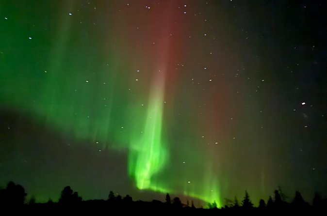 Guaranteed Northern Lights Tour in Rovaniemi - How the guide hunts: chasing clear skies, even toward Sweden