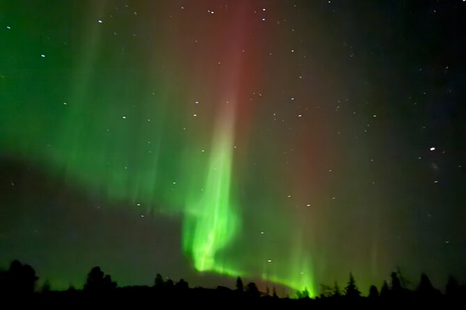 Guaranteed Northern Lights Tour in Rovaniemi - Photo help, hot drinks, and staying comfortable in the cold