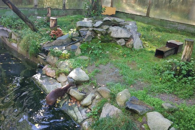 Guided Ranua Wildlife Park tour with Lunch, Small group adventure - Price and Value: What $174.21 Buys You