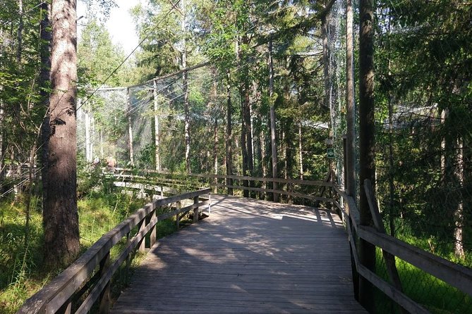 Guided Ranua Wildlife Park tour with Lunch, Small group adventure - Who This Tour Suits Best in Lapland