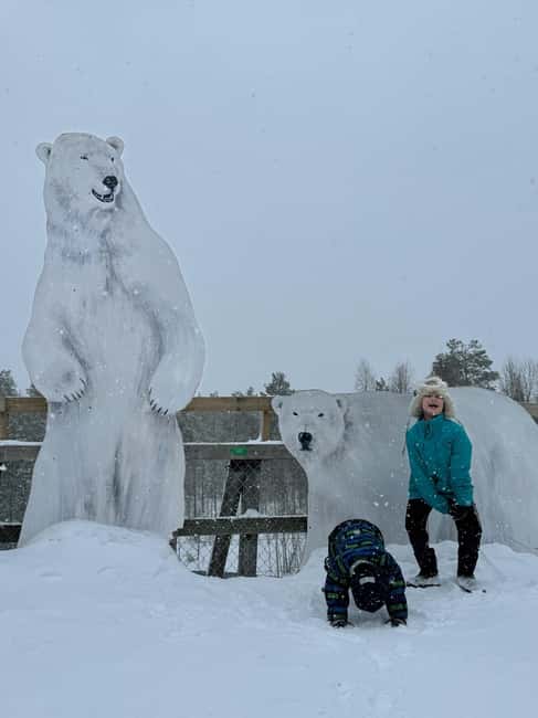 Guided Ranua Wildlife Zoo Tour with Lunch Buffet - Polar bears, plus a helpful expectation check
