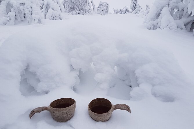 Guided reindeer farm visit and one hour sledge safari - Timing and practical logistics that matter on the day