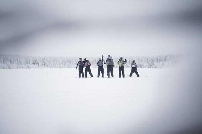 Half-Day Backcountry Skiing Tour in Levi with Photography Guide - Backcountry skiing skills: balance, stamina, and beginner-friendly pacing