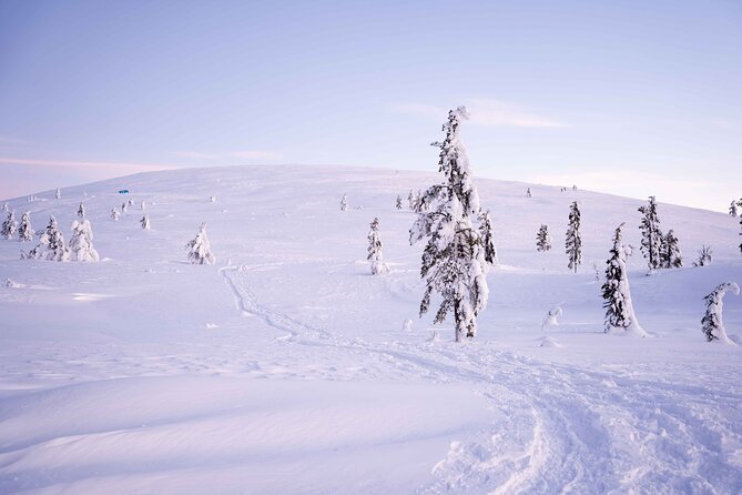 Half-Day Backcountry Skiing Tour in Levi with Photography Guide - Price and value: is about $124.36 per person a fair deal?