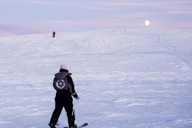 Half-Day Backcountry Skiing Tour in Levi with Photography Guide - Meeting at Beyond Arctic Levi: pickup, timing, and where to start