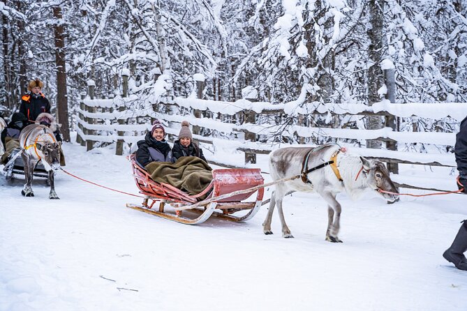 Half-Day Experience in Local reindeer farm in Lapland - The 2 km Sleigh Ride: Peaceful, Photo-Worthy, Safety-Managed