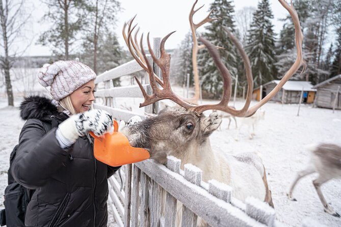 Half-Day Experience in Local reindeer farm in Lapland - The Pro Photo Advantage: Edited Images You Can Actually Use