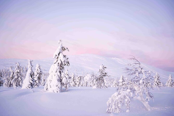 Half Day Guided Tour in the Wilderness of Levi - Meeting at Beyond Arctic Levi: How the day starts in Levi