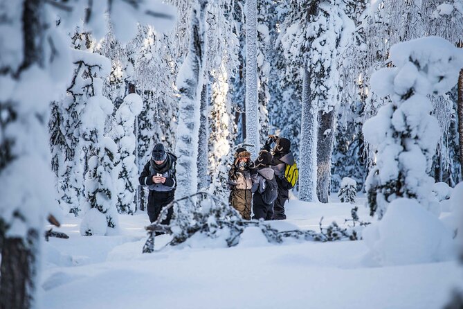 Half Day Guided Tour in the Wilderness of Levi - Guides, storytelling, and photography support: What to expect from the human part