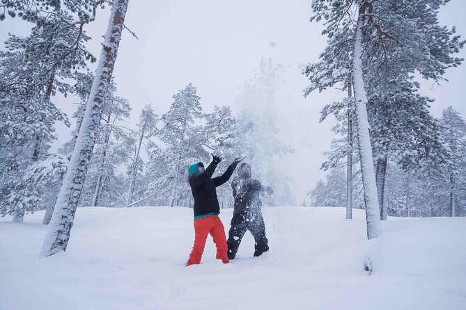 Half Day Guided Tour in the Wilderness of Levi - 5 to 6 hours of Arctic wilderness: The real rhythm after pickup