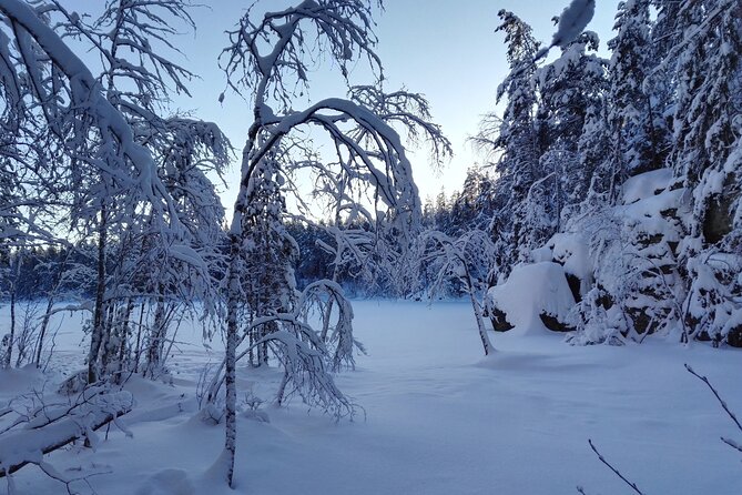 Half-Day Nature Adventure to Nuuksio National Park from Helsinki - Key things that make this Nuuksio tour worth your morning