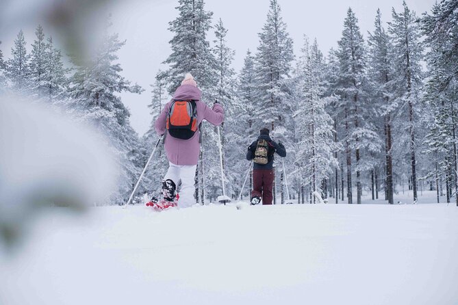 Half Day Snowshoe Hiking Adventure in Levi Lapland - The Hike Through Arctic Forest and Snow-Covered Nature