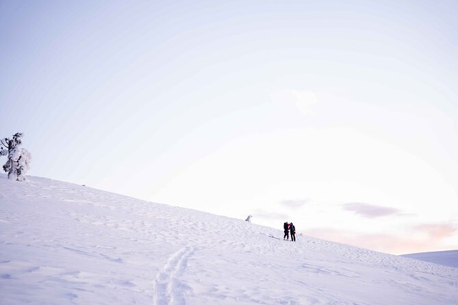 Half Day Snowshoe Hiking Adventure in Levi Lapland - Photo Souvenirs: Edited Images and a Password to Access Them
