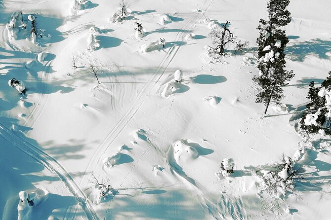 Half Day Snowshoe Hiking Adventure in Levi Lapland - Price and Value: What You’re Paying For in Levi