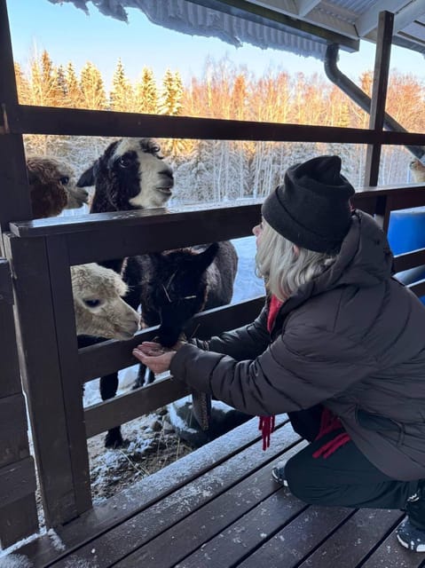 Helsinki: Alpaca Farm Tour with Guided Walk (private) - Who should book this alpaca farm walk (and who should skip it)