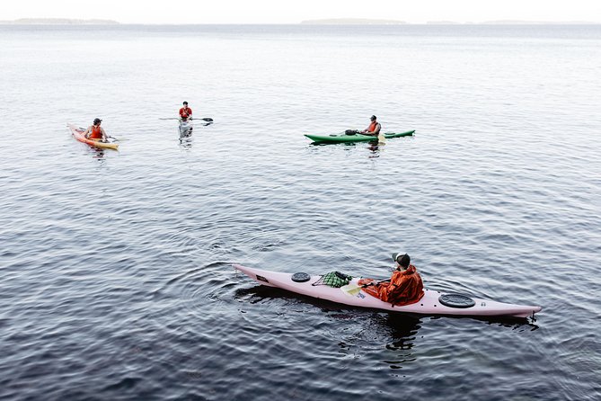 Helsinki by Kayak - Who should book this kayaking tour, and who might prefer something else