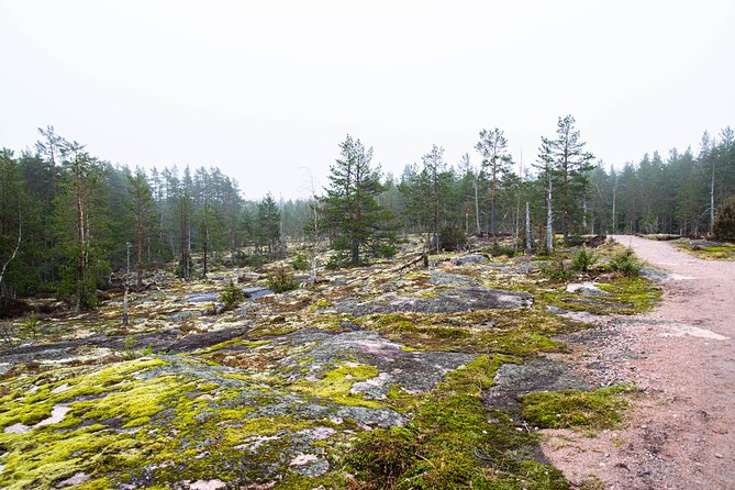 Helsinki: Nuuksio National park hiking with campfire lunch - Price and value: is $139.13 a fair deal?