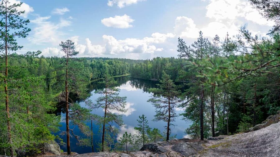 Helsinki: Nuuksio National park hiking with campfire lunch - Price and value: why $141 feels fair for what you get