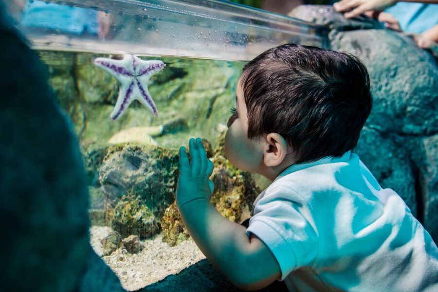 Helsinki: Sea Life Entrance Tickets - Key highlights to plan your visit around
