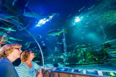 Sea Life Entrance Tickets