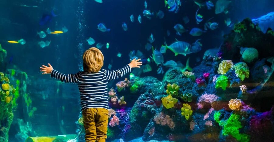 Helsinki: Sea Life Entrance Tickets - Conservation Cove and climate change: learning without a heavy lecture