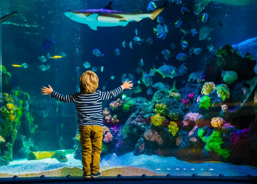 Helsinki: Sea Life Entrance Tickets - 2026 Ocean Tank closure: how to adjust your plan