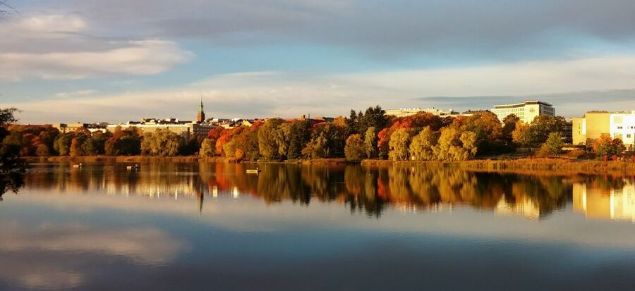 Helsinki: Small-Group Walking Tour with City Planner Guide - Starting point: where your Helsinki walk begins