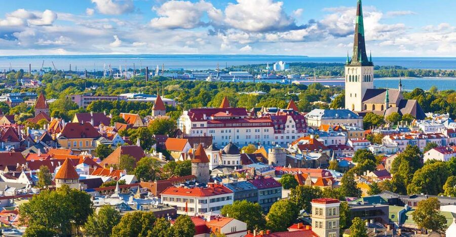 Helsinki: Tallinn Guided Day Tour with Ferry Crossing - Your free time in Tallinn: use it for lunch, photos, and one true want