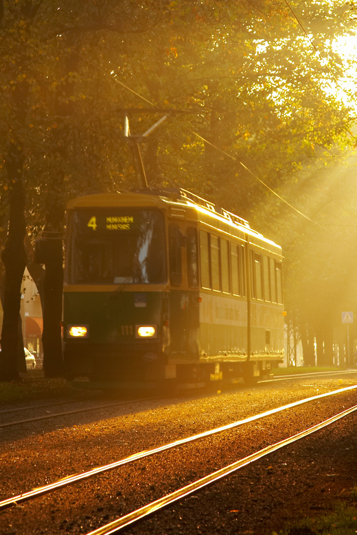 Helsinki: Tram Tour - Key things to know before you hop on the tram