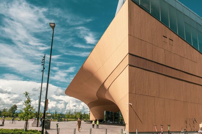 Helsinki Walking Tour with a Sociologist - Central Station to Oodi, finishing with the city’s modern gathering spot