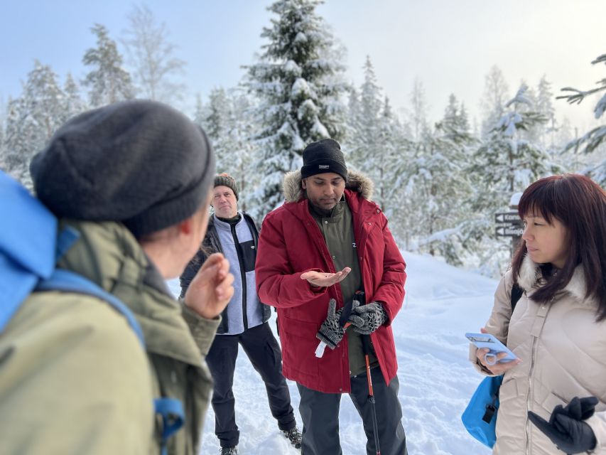 Helsinki: Winter Wonderland Liesjärvi National Park Hike - Key highlights that make this day trip work